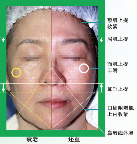 五五世纪(中国区)官方网站