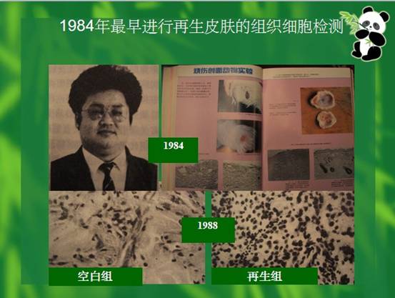 五五世纪(中国区)官方网站