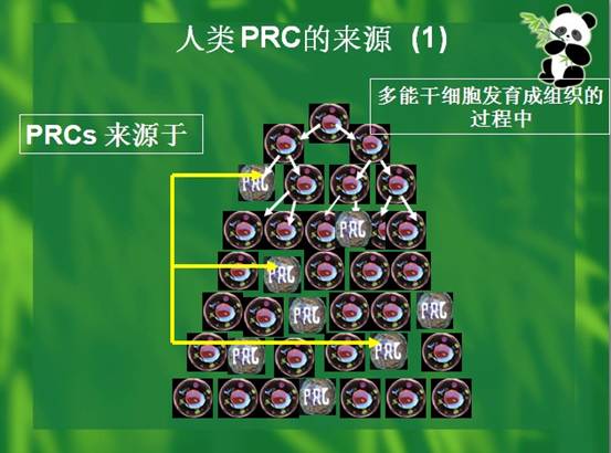 五五世纪(中国区)官方网站