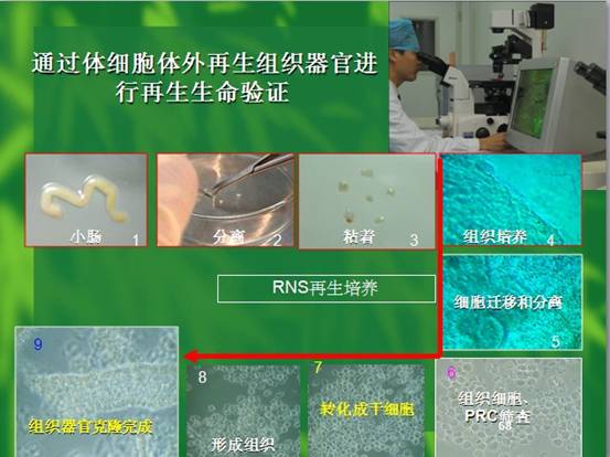 五五世纪(中国区)官方网站