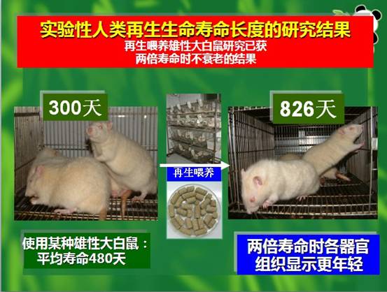 五五世纪(中国区)官方网站