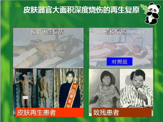 五五世纪(中国区)官方网站