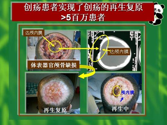 五五世纪(中国区)官方网站