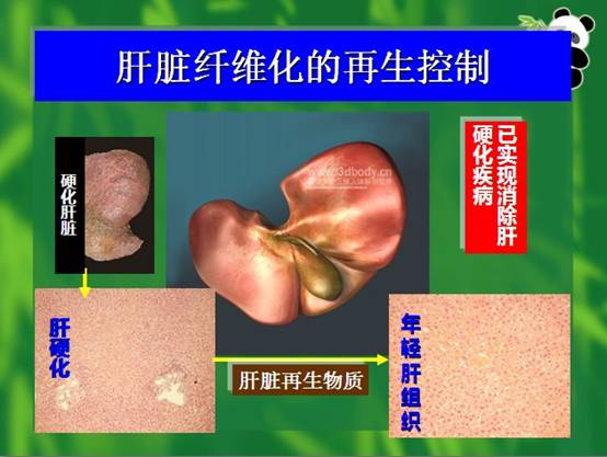 五五世纪(中国区)官方网站