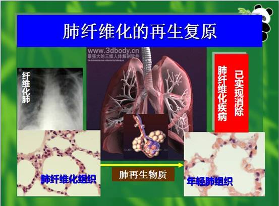 五五世纪(中国区)官方网站
