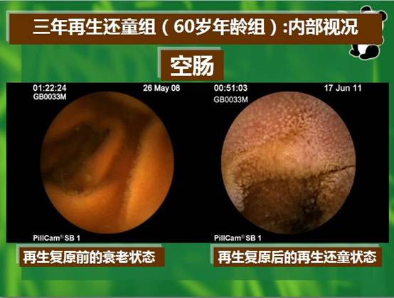 五五世纪(中国区)官方网站